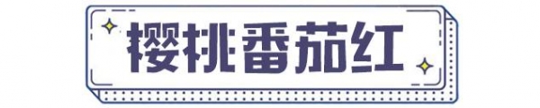 2025春夏流行色服装
