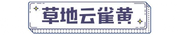 2025春夏流行色服装