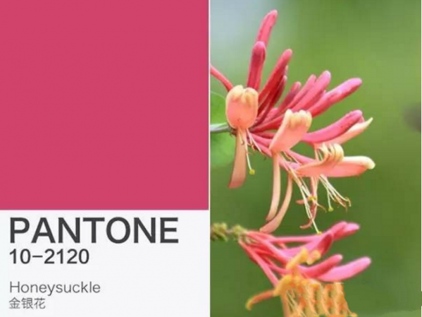 Pantone历年流行色 Pantone年度色彩