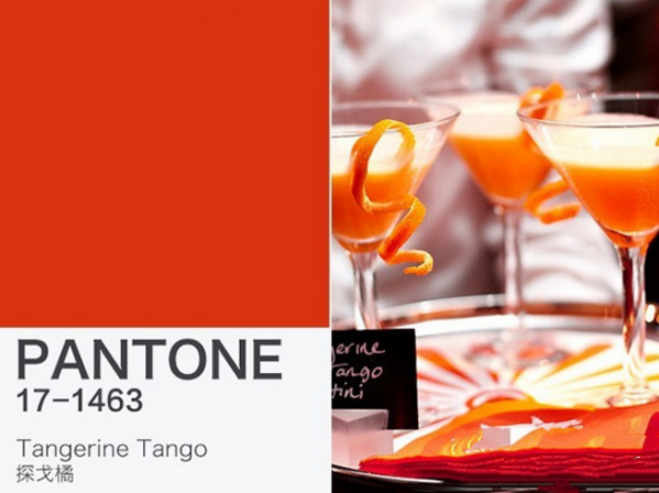 Pantone历年流行色 Pantone年度色彩
