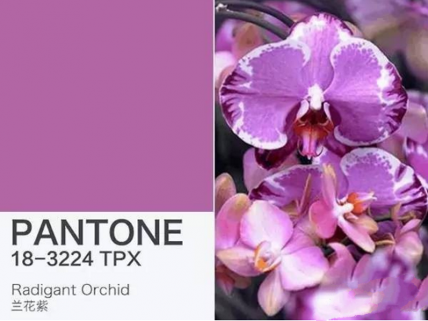 Pantone历年流行色 Pantone年度色彩