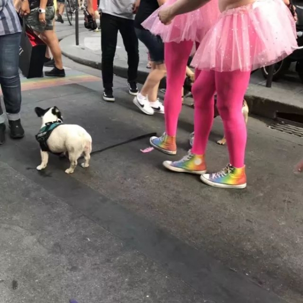 白色穿搭图片