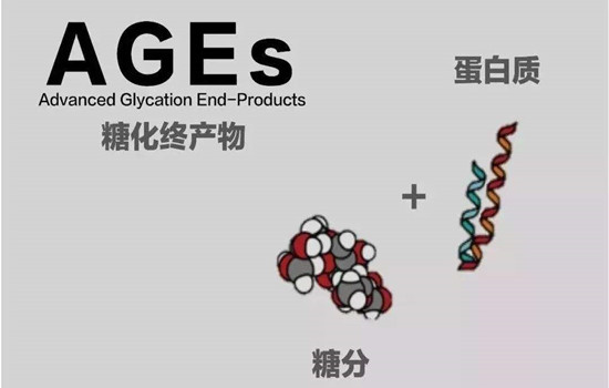 什么是抗糖化 抗糖化是什么意思