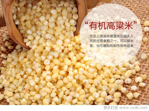 新年见公婆攻略