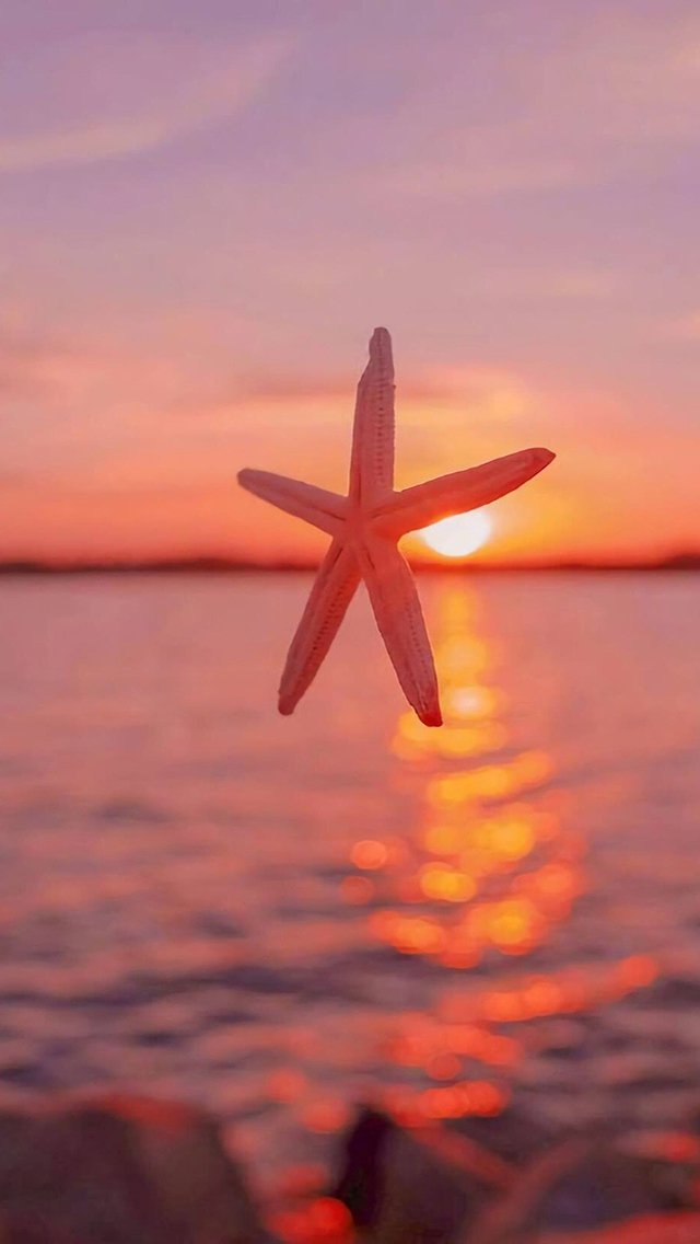 黄昏夕阳风景手机壁纸图片