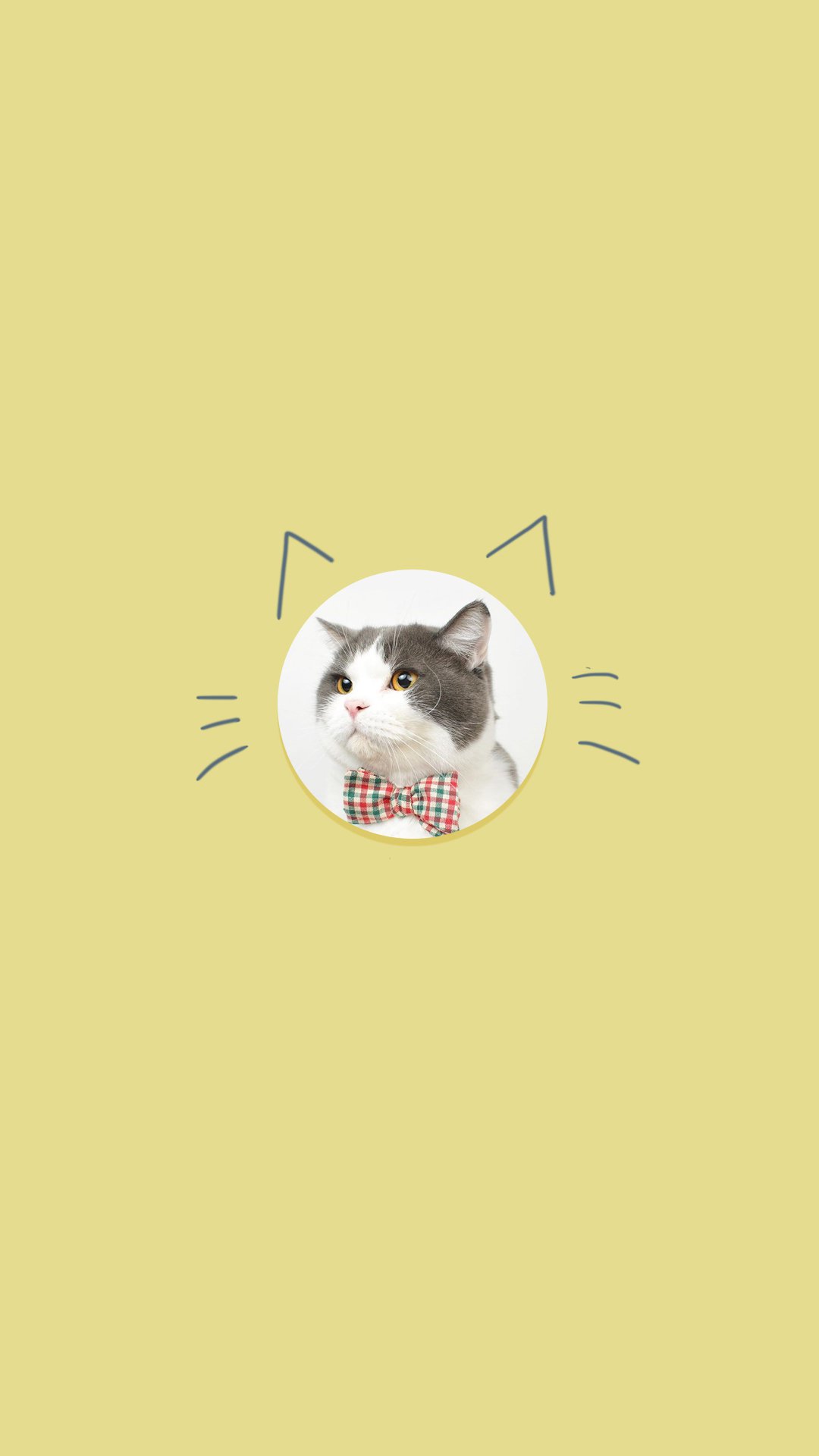 简约背景可爱猫咪手机壁纸