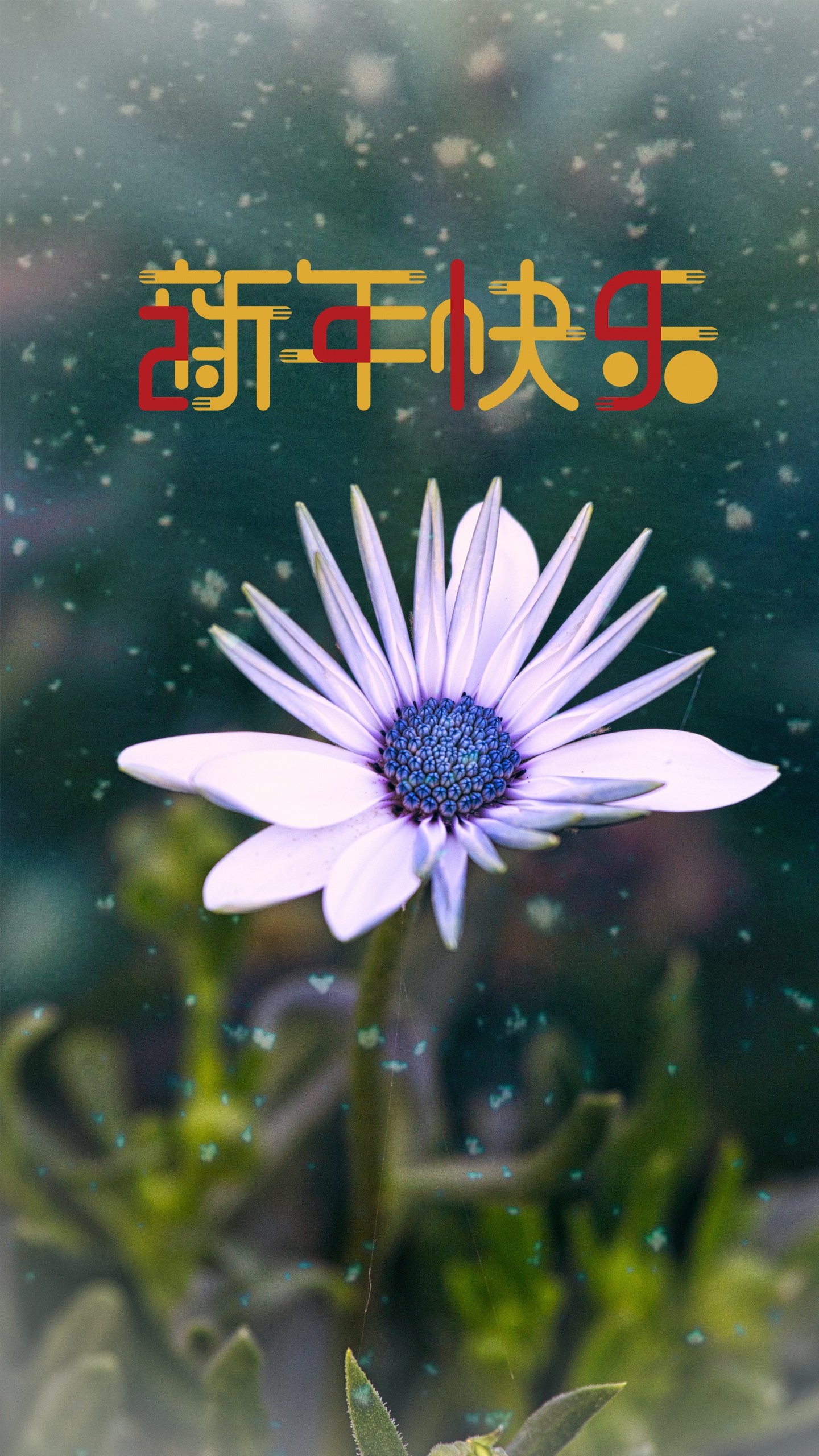 2024新年手机壁纸图片