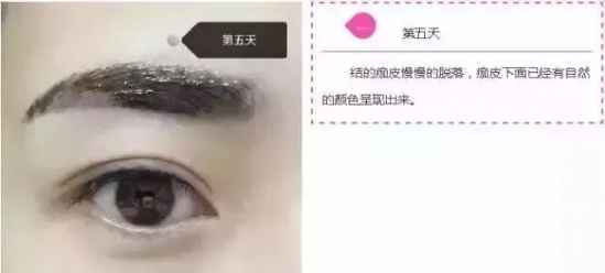 纹眉七天的变化