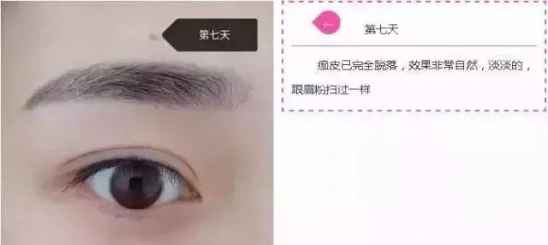 纹眉七天的变化