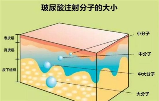 润百颜玻尿酸是大分子还是小分子 润百颜是什么分子