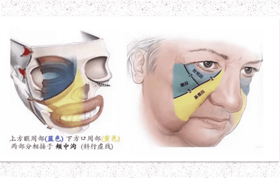 小v线和大v线哪个好看