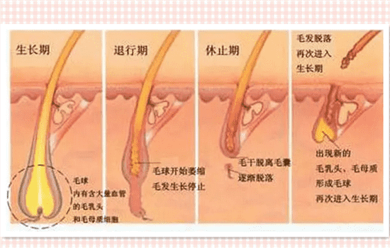 超冰脱毛多少钱一台 超冰半导体多少钱一台