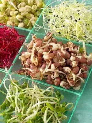 绿豆芽怎么吃减肥