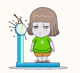 减肥误区大集合