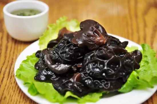 减肥吃什么食物好