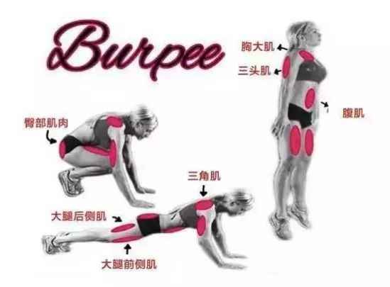 立卧撑的正确做法