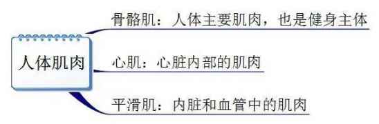 健身需要知道的事