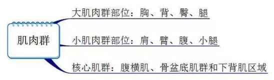 健身需要知道的事