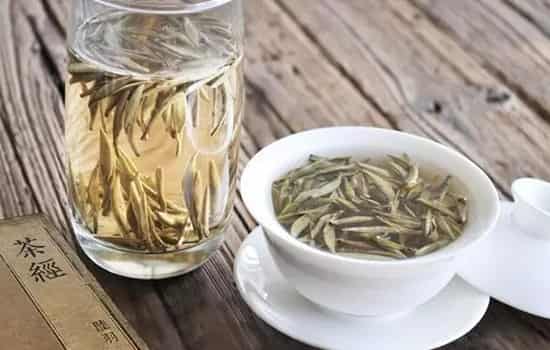 喝白茶能减肥吗 喝白茶可以减肥吗