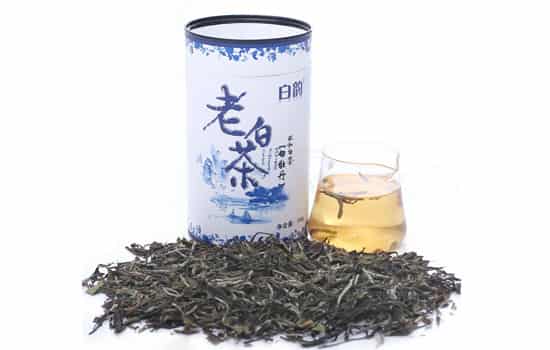喝白茶能减肥吗 喝白茶可以减肥吗