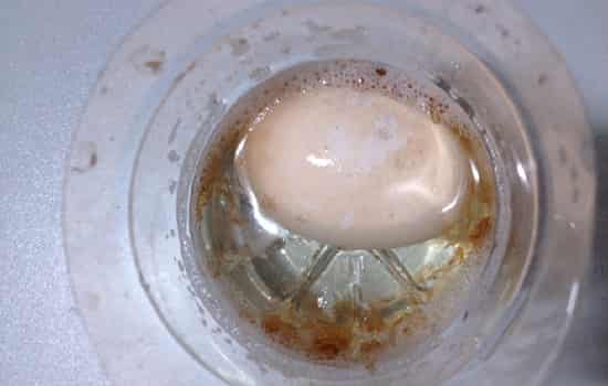 醋泡鸡蛋减肥怎样吃法 醋泡鸡蛋减肥法
