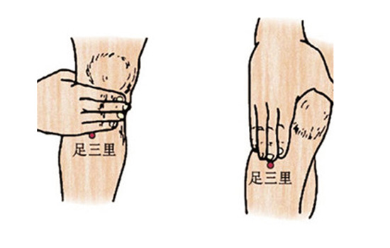 针灸减肥都扎哪里 针灸减肥扎针图
