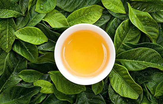 喝绿茶能减肥吗 喝绿茶叶能减肥吗