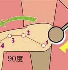 敲胆经瘦腿多久见效