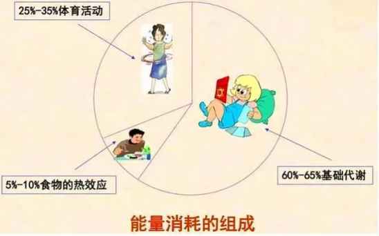 女生减肥最佳时间