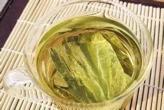 排毒减肥喝什么