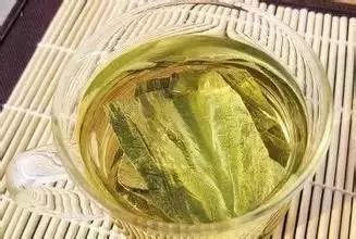 喝什么茶能减肥
