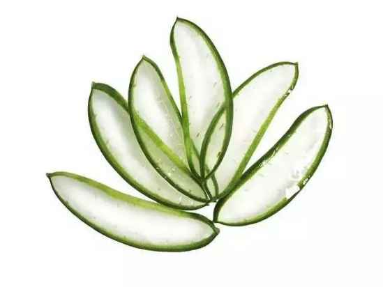 芦荟的功效 芦荟的功效及减肥食谱介绍