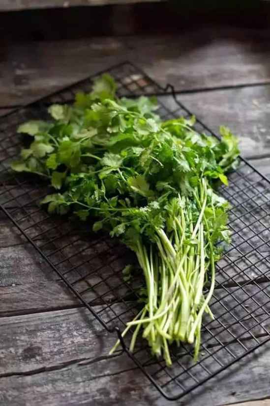 蔬菜不放冰箱怎么保存时间长