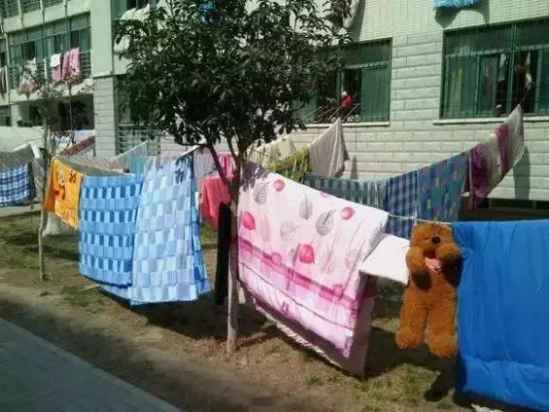 晒被子要注意什么问题 这几大误区你中招了吗