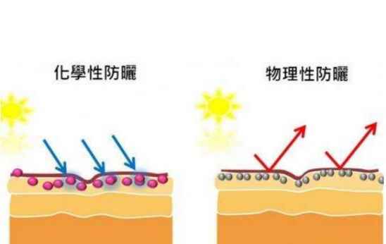 防晒霜的成分 防晒霜的分类