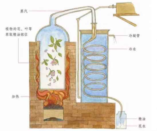 用完纯露还用爽肤水吗 纯露用完还需要用爽肤水吗