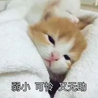 平价变色唇膏推荐 VOV美唇棒
