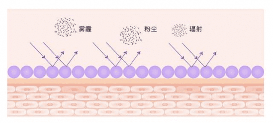 VOV隔离怎么样 VOV隔离霜效果咋样
