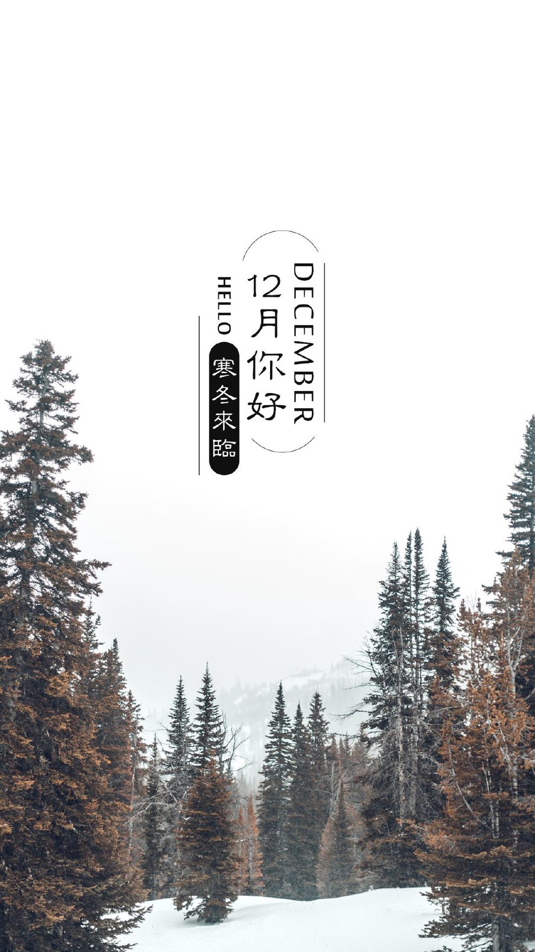 十二月你好文字图片高清手机壁纸