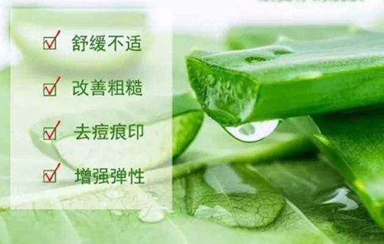 敷海藻面膜后可以涂芦荟胶么 敷了海藻面膜还可以涂芦荟胶吗