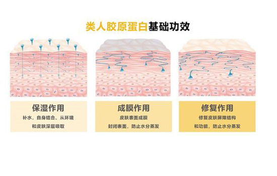 敷尔佳与可复美不同之处 可复美与敷尔佳的不同之处