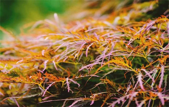 与女友性格不合怎么办