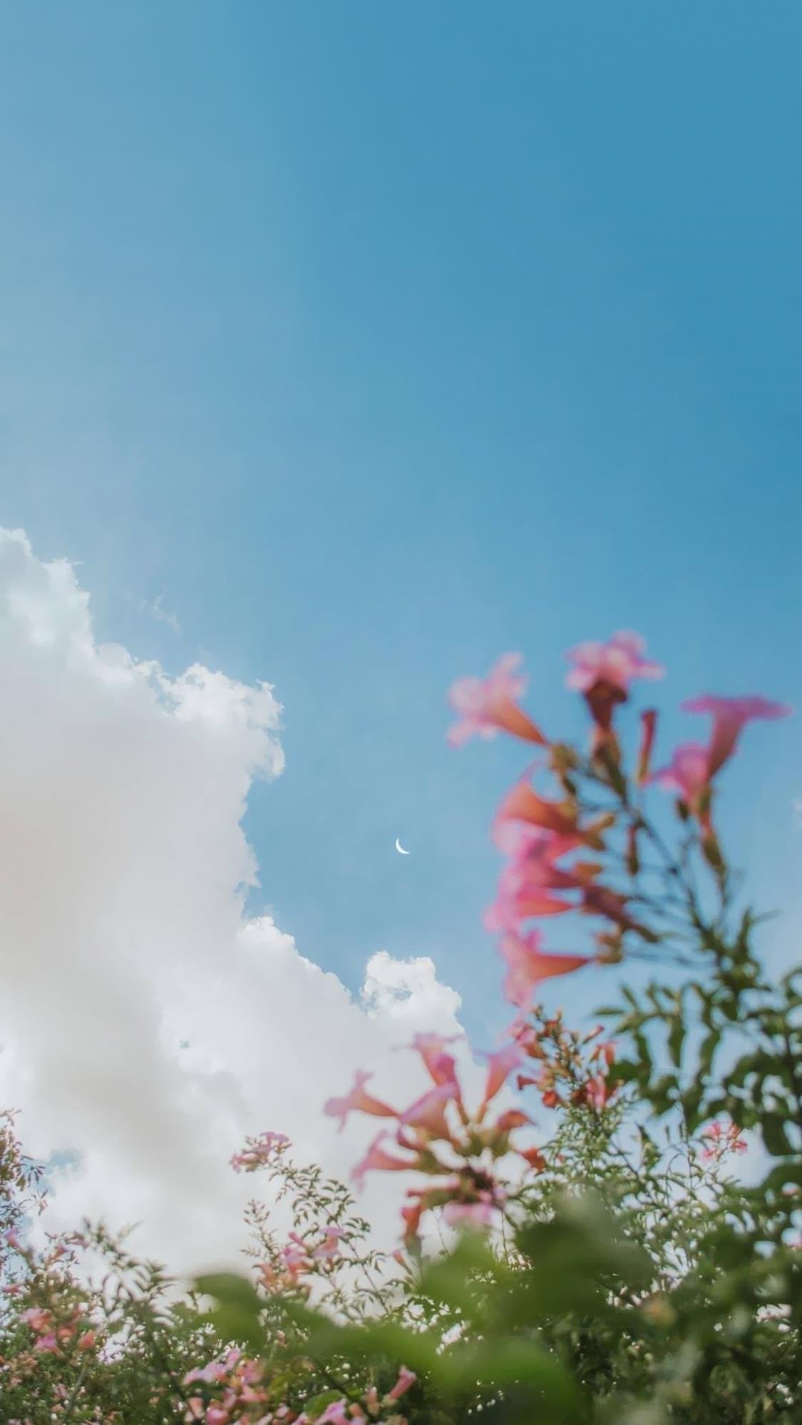 晚霞风景摄影高清手机壁纸图片 第二辑
